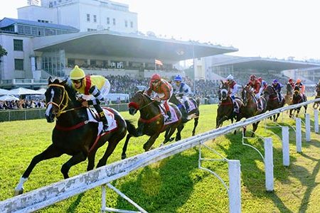 Jockey Club of São Paulo Responds to Horse Racing Ban